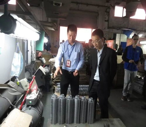 鳳崗鎮(zhèn)開(kāi)展元旦節(jié)前安全檢查，監(jiān)控設(shè)備成關(guān)鍵環(huán)節(jié)